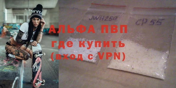СК Волоколамск