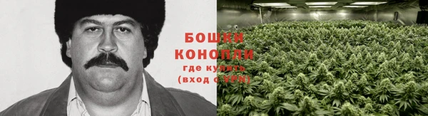 шишки Волосово