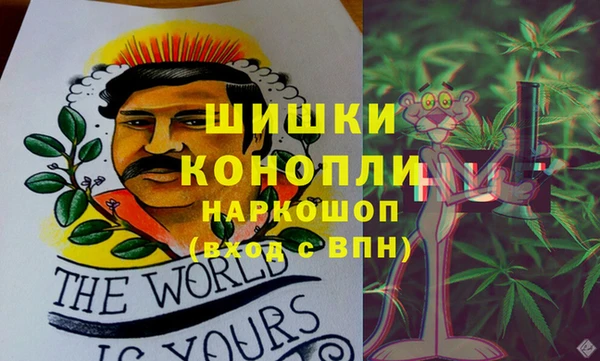 шишки Волосово
