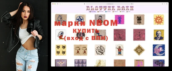 СК Волоколамск