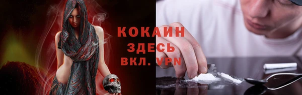 СК Волоколамск