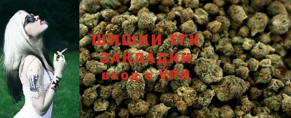 шишки Волосово