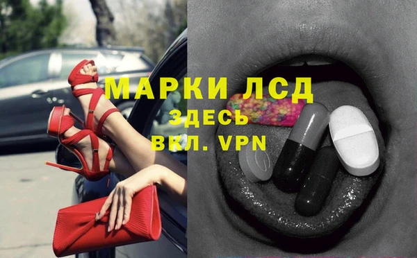 СК Волоколамск