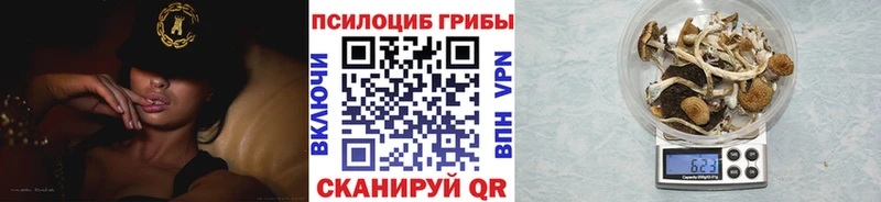 купить  цена  Выборг  Галлюциногенные грибы MAGIC MUSHROOMS 