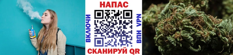 Конопля семена Выборг